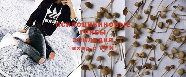 кокаин премиум Ельня