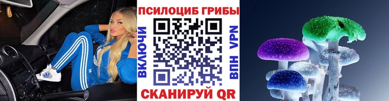 Псилоцибиновые грибы GOLDEN TEACHER  Фрязино 