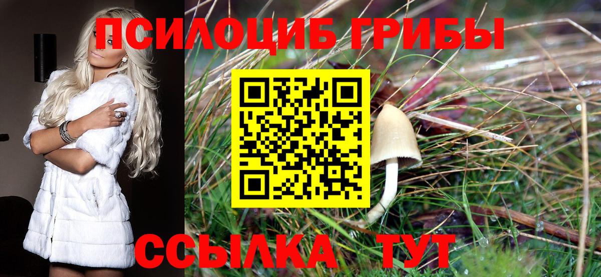Галлюциногенные грибы Cubensis  Псилоцибиновые грибы Psilocybine cubensis  Вход с VPN  как найти   Фрязино 